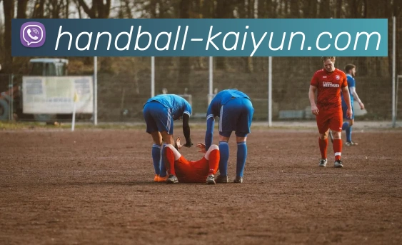 开云app平台生态图